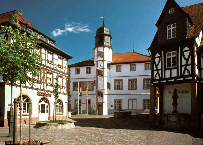 Terrassendach-Fachbetriebe in Alzey: Stadtansicht