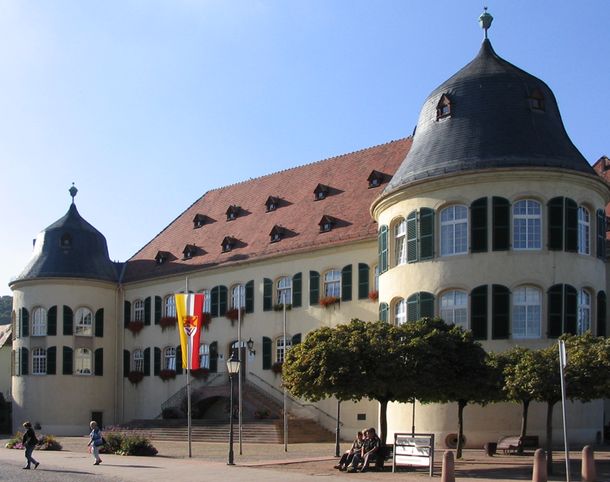 Terrassendach-Fachbetriebe in Bad Bergzabern: Stadtansicht