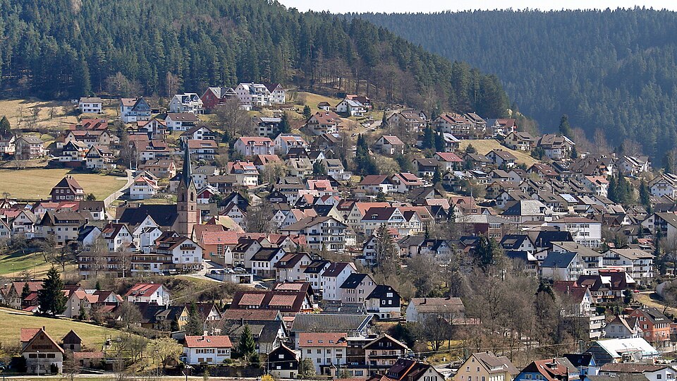 Terrassendach-Fachbetriebe in Baiersbronn: Stadtansicht