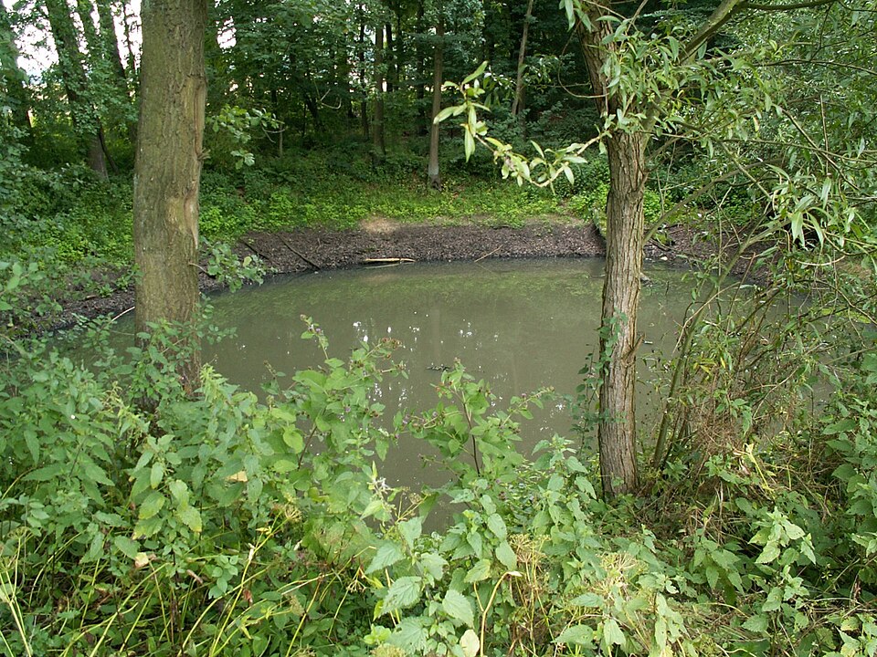 Terrassendach-Fachbetriebe in Belm: Stadtansicht – Foto: Tebdi Terrassendach-Fachbetriebe in Belm: Stadtansicht