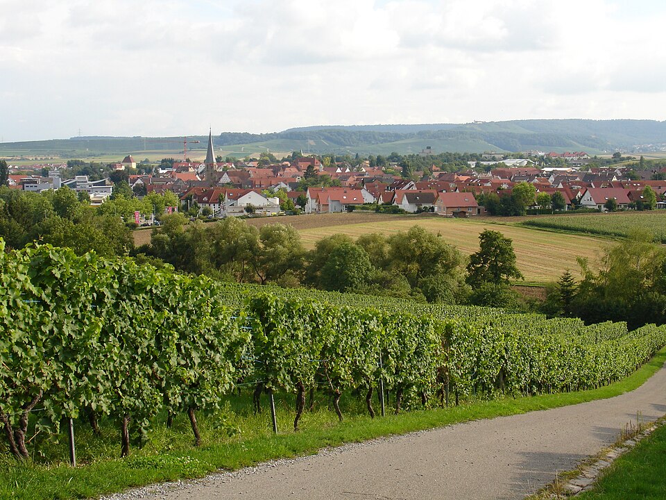 Terrassendach-Fachbetriebe in Brackenheim: Stadtansicht – Foto: Foto: Martin Naujocks Terrassendach-Fachbetriebe in Brackenheim: Stadtansicht