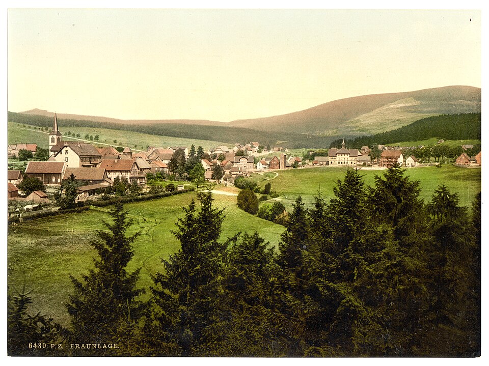 Terrassendach-Fachbetriebe in Braunlage: Stadtansicht