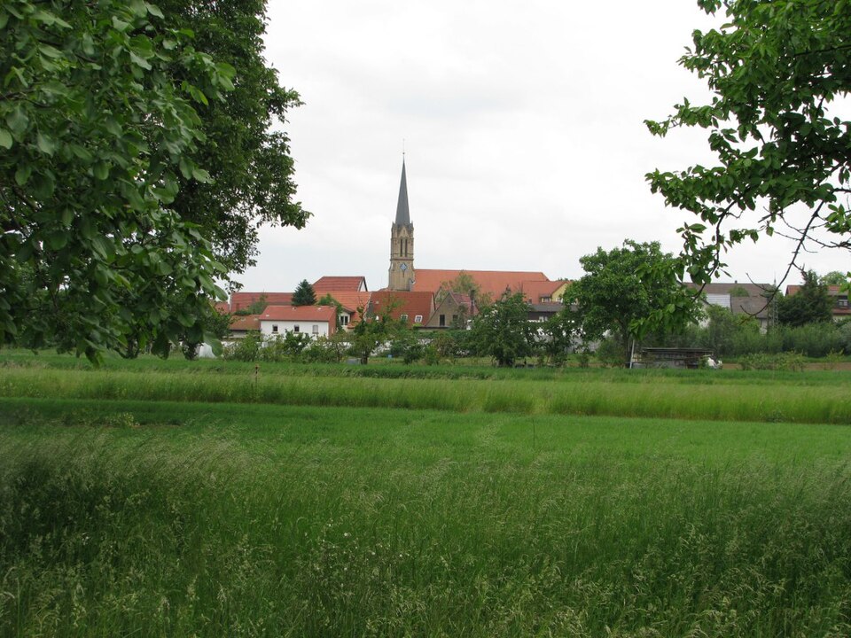 Terrassendach-Fachbetriebe in Brühl: Stadtansicht