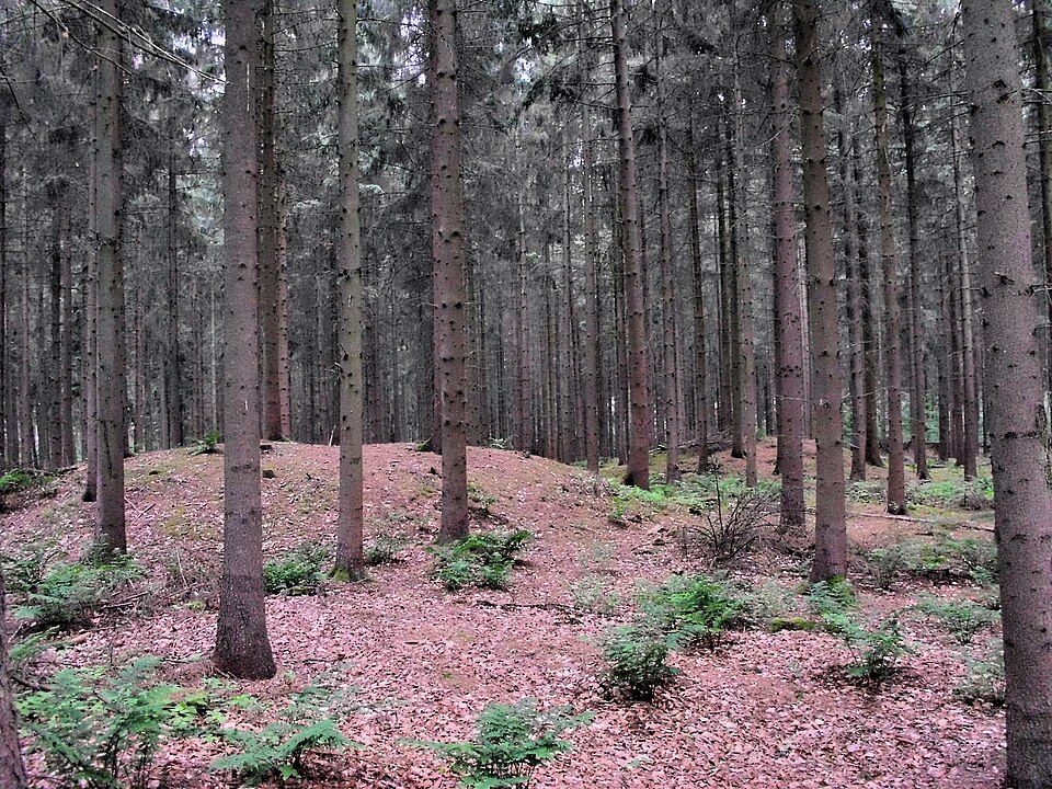 Terrassendach-Fachbetriebe in Goldenstedt: Stadtansicht
