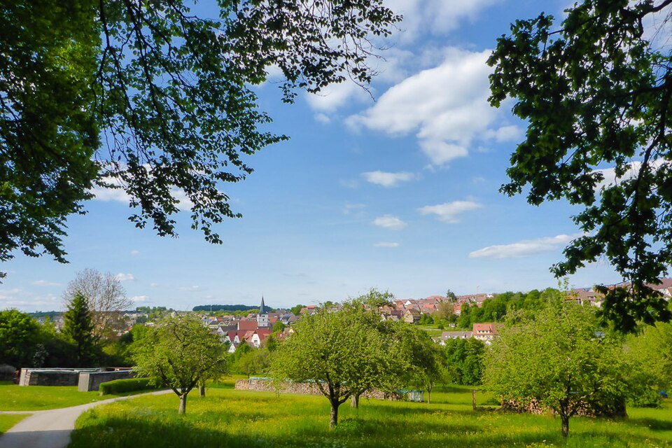 Terrassendach-Fachbetriebe in Grafenau: Stadtansicht