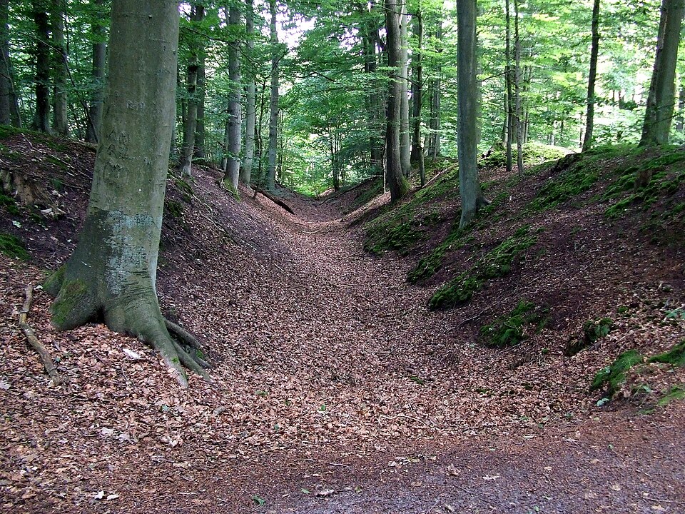 Terrassendach-Fachbetriebe in Großschönau: Stadtansicht – Foto: Günter Klug Terrassendach-Fachbetriebe in Großschönau: Stadtansicht
