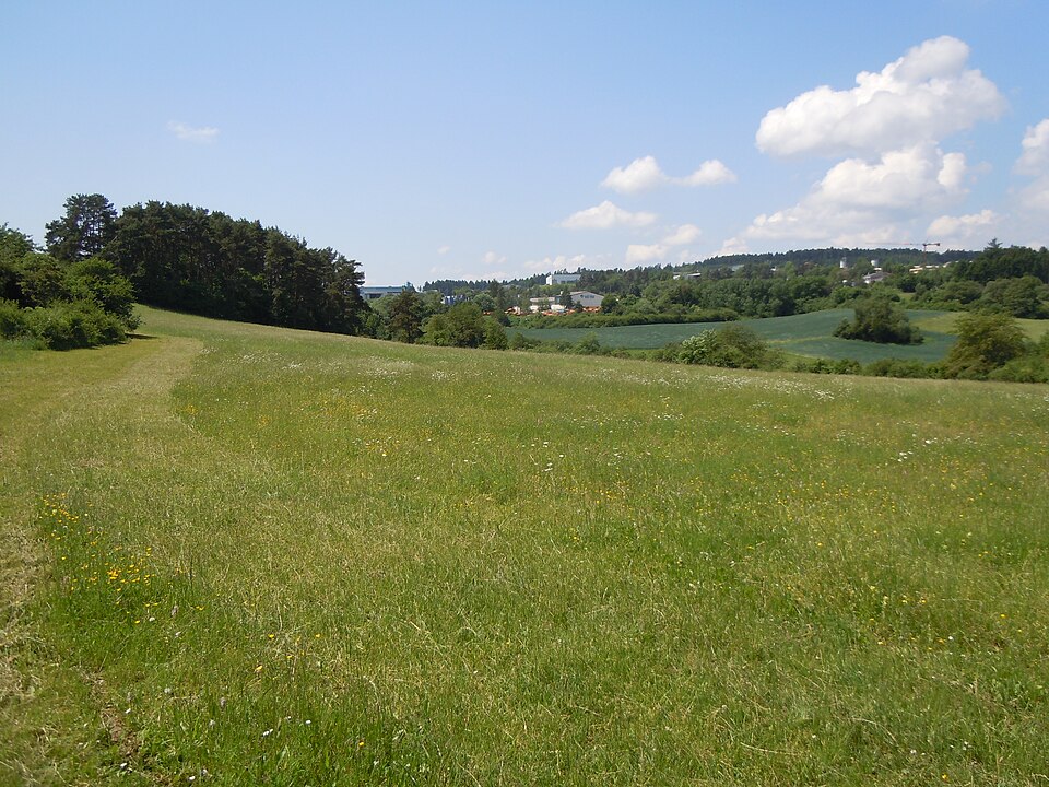 Terrassendach-Fachbetriebe in Haiterbach: Stadtansicht – Foto: Friedi13 Terrassendach-Fachbetriebe in Haiterbach: Stadtansicht