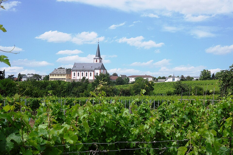 Terrassendach-Fachbetriebe in Hochheim am Main: Stadtansicht – Foto: Brühl Terrassendach-Fachbetriebe in Hochheim am Main: Stadtansicht