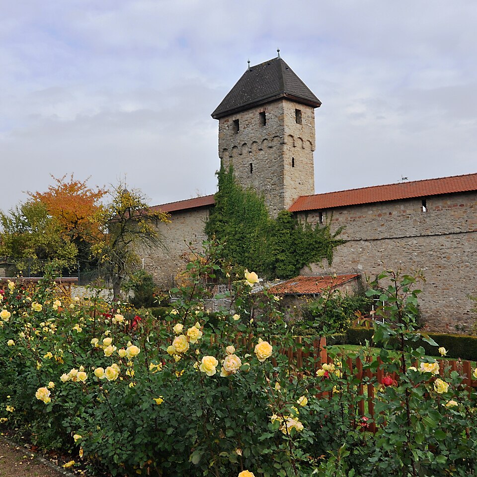 Terrassendach-Fachbetriebe in Kirchheimbolanden: Stadtansicht – Foto: Mussklprozz Terrassendach-Fachbetriebe in Kirchheimbolanden: Stadtansicht