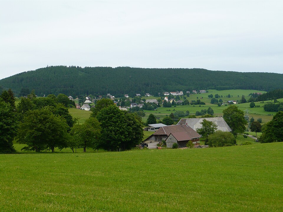 Terrassendach-Fachbetriebe in Lenzkirch: Stadtansicht – Foto: Flominator Terrassendach-Fachbetriebe in Lenzkirch: Stadtansicht