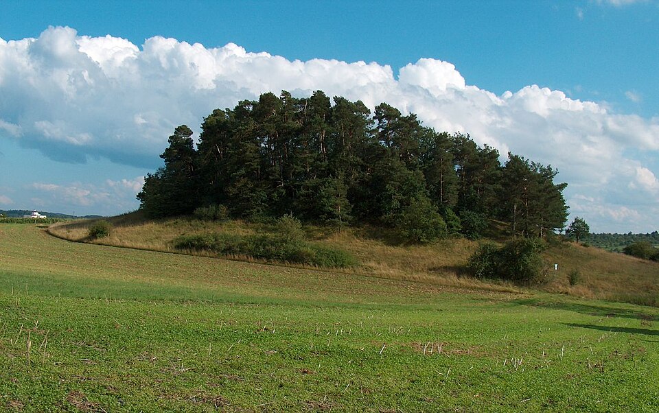 Terrassendach-Fachbetriebe in Magstadt: Stadtansicht – Foto: User:MarkusHagenlocher Terrassendach-Fachbetriebe in Magstadt: Stadtansicht