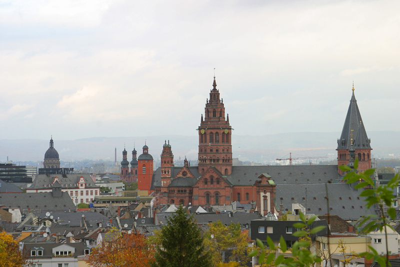 Terrassendach-Fachbetriebe in Mainz: Altstadt