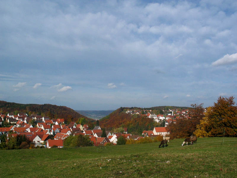 Terrassendach-Fachbetriebe in Meßstetten: Stadtansicht – Foto: Lothar42 at German Wikipedia Terrassendach-Fachbetriebe in Meßstetten: Stadtansicht