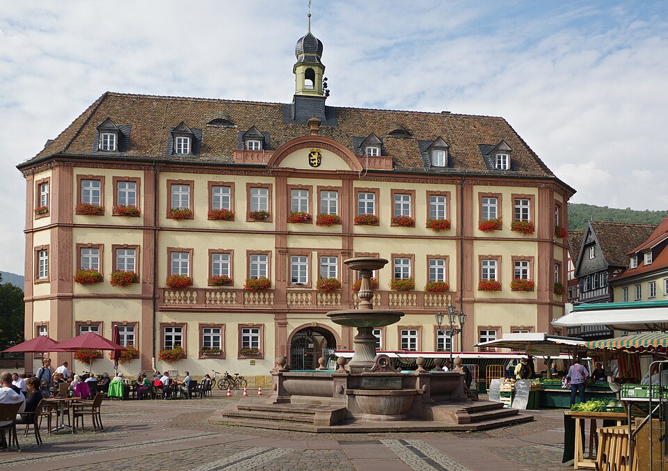 Terrassendach-Fachbetriebe in Neustadt an der Weinstraße: Stadtansicht