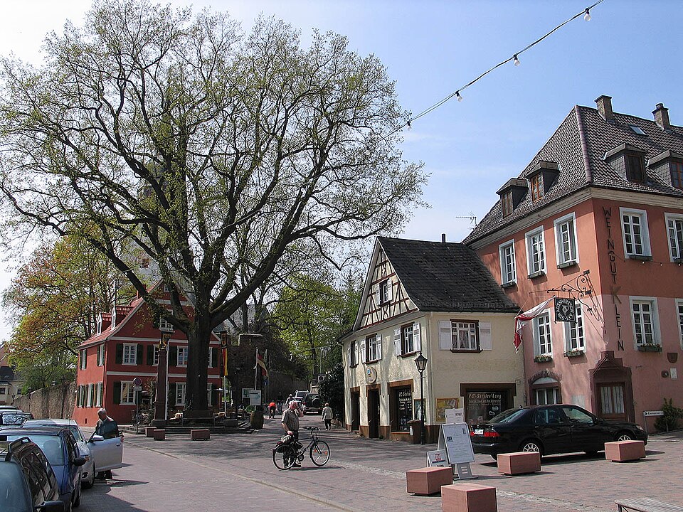 Terrassendach-Fachbetriebe in Nierstein: Stadtansicht