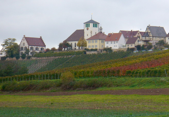 Terrassendach-Fachbetriebe in Sachsenheim: Stadtansicht – Foto: Enslin Terrassendach-Fachbetriebe in Sachsenheim: Stadtansicht