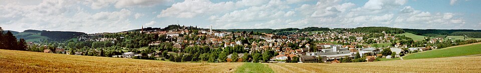 Terrassendach-Fachbetriebe in Sankt Georgen im Schwarzwald: Panorama