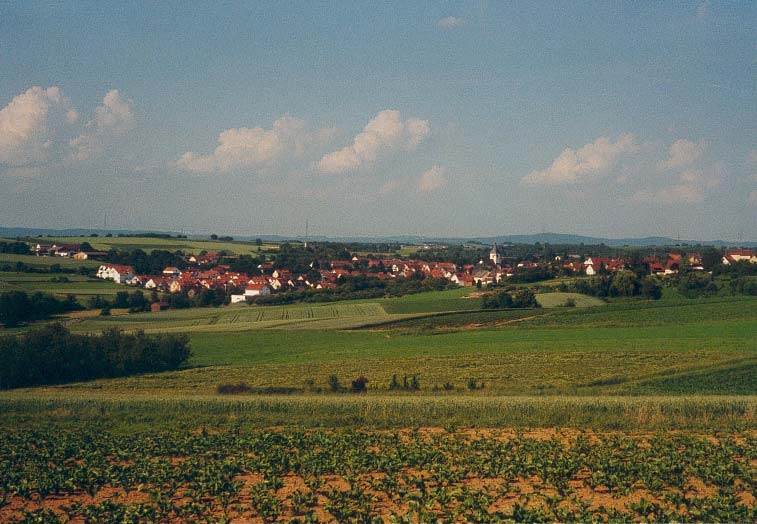 Terrassendach-Fachbetriebe in Schwaikheim: Stadtansicht