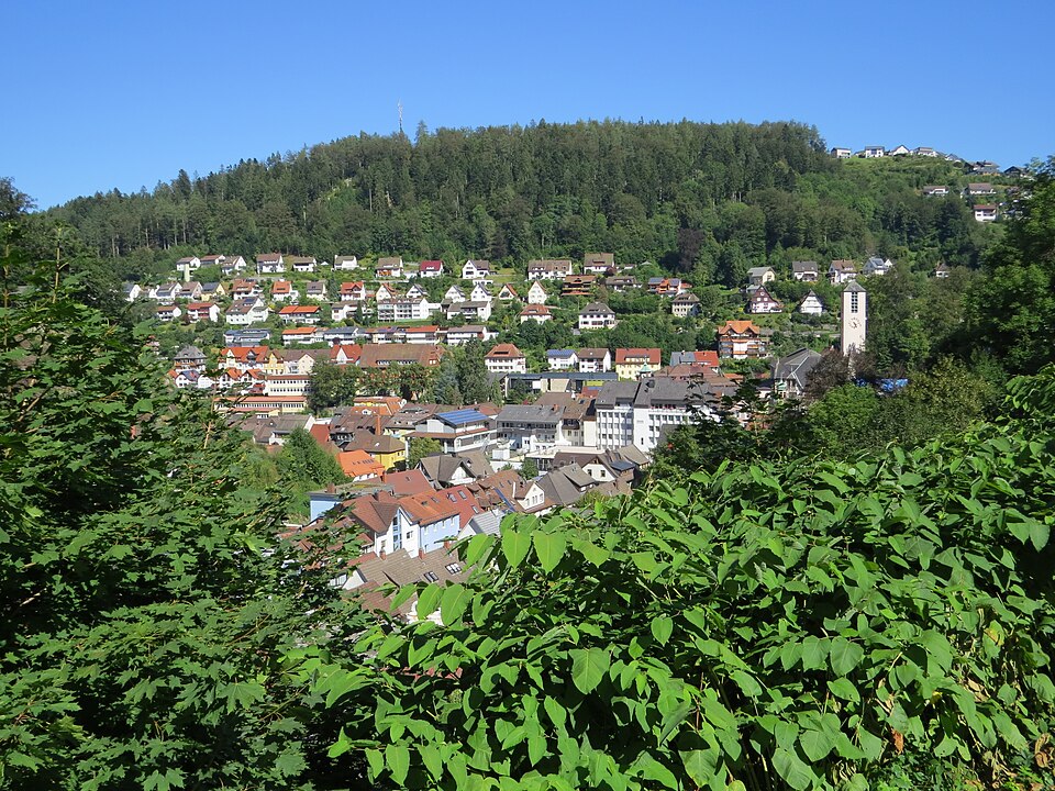 Terrassendach-Fachbetriebe in Triberg: Stadtansicht – Foto: Flodur63 Terrassendach-Fachbetriebe in Triberg: Stadtansicht