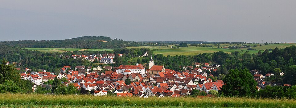 Terrassendach-Fachbetriebe in Waldenbuch: Stadtansicht – Foto: Veit Mueller Terrassendach-Fachbetriebe in Waldenbuch: Stadtansicht