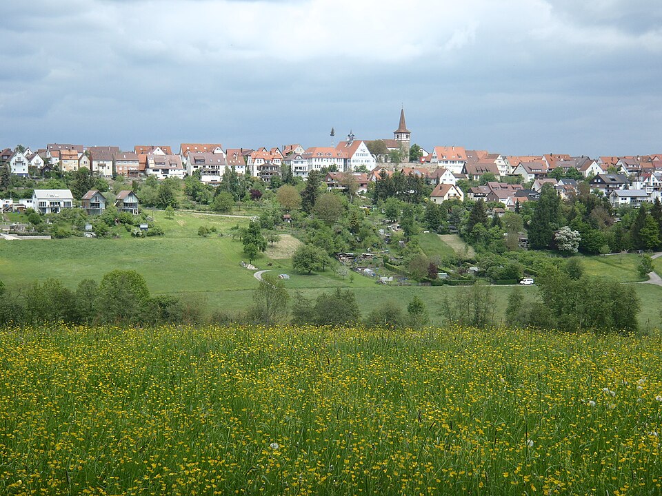 Terrassendach-Fachbetriebe in Weil im Schönbuch: Stadtansicht