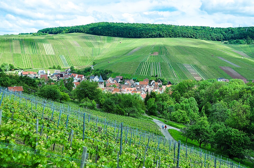 Terrassendach-Fachbetriebe in Weinstadt: Stadtansicht – Foto: R.kaelcke Terrassendach-Fachbetriebe in Weinstadt: Stadtansicht